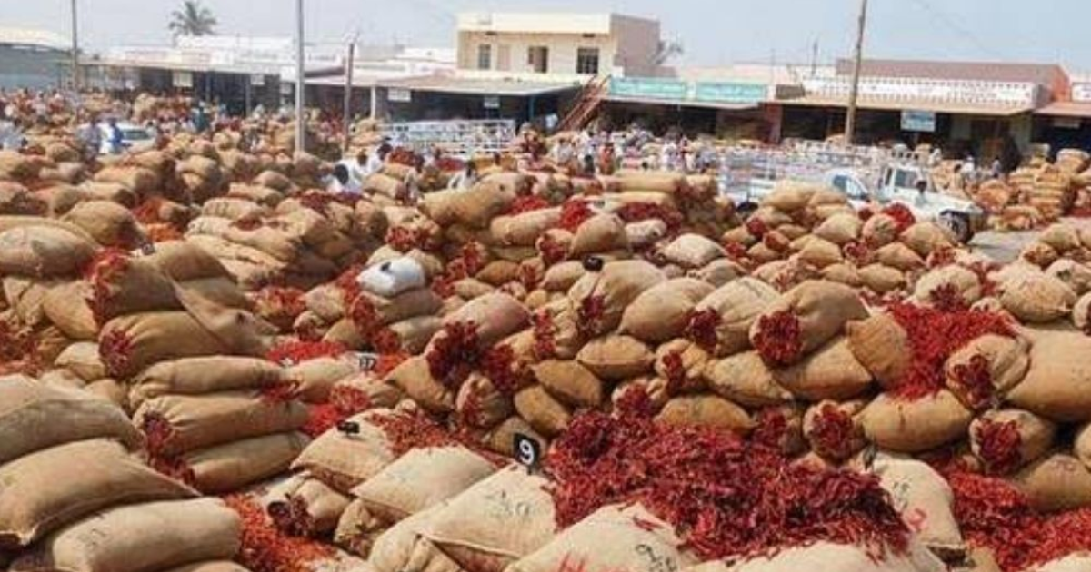 Mirchi Price Reduced In Khammam Mirchi Yard-Telugu Agriculture News