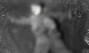 నాగార్జున పొలంలో డెడ్ బాడీ.. నాగార్జున పొలంలో డెడ్ బాడీ..