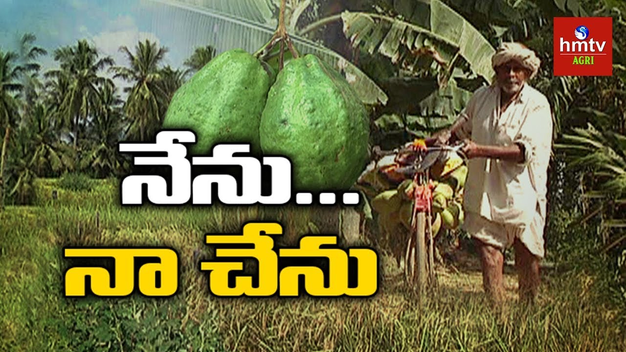 Farmer Rosaiah Farmer Rosaiah