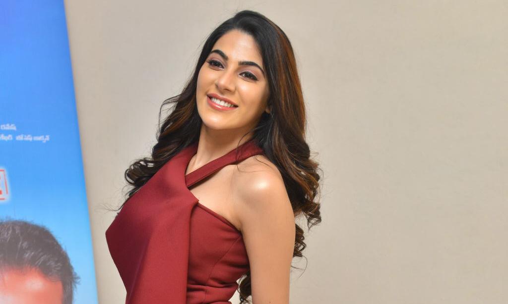 Actress Nikki Tamboli Photos