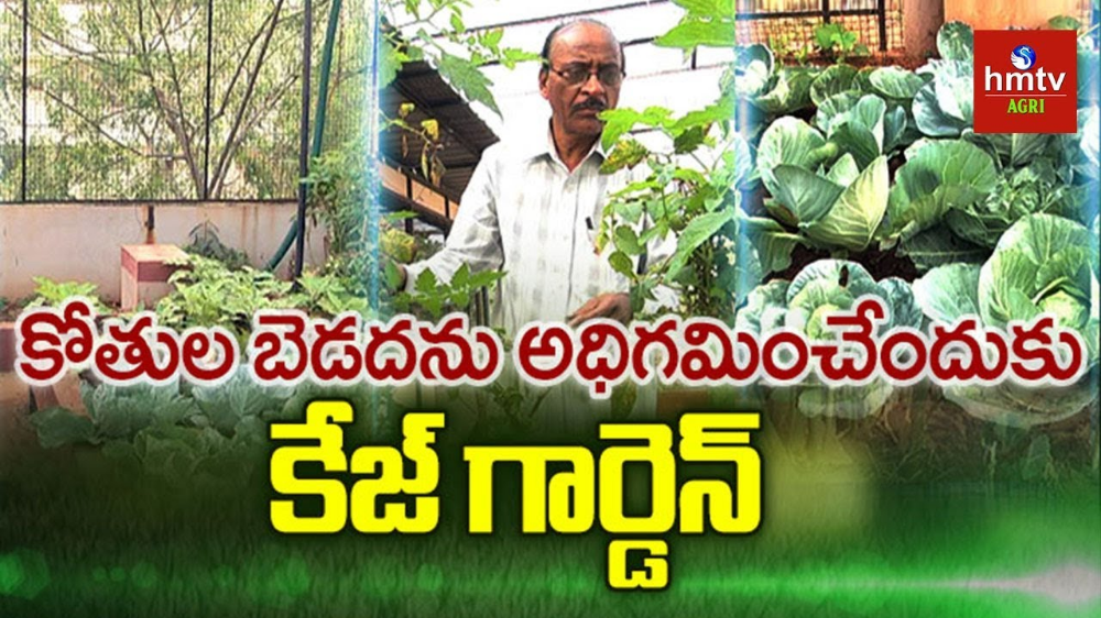 Cage Garden Cage Garden