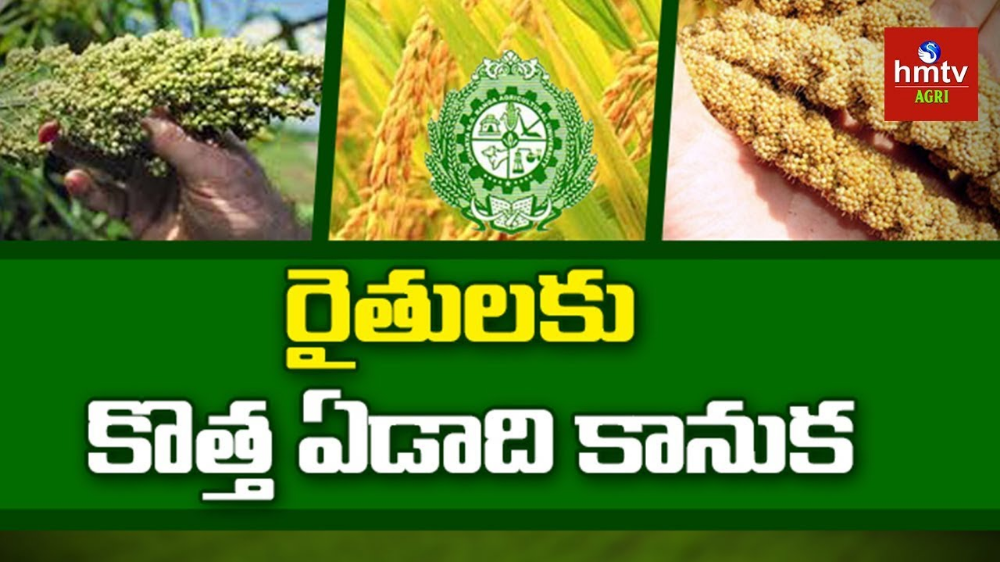 Agriculture Agriculture