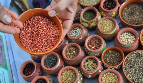 సిరిధాన్యాలు, చిరుధాన్యాల సంవత్సరం సిరిధాన్యాలు, చిరుధాన్యాల సంవత్సరం