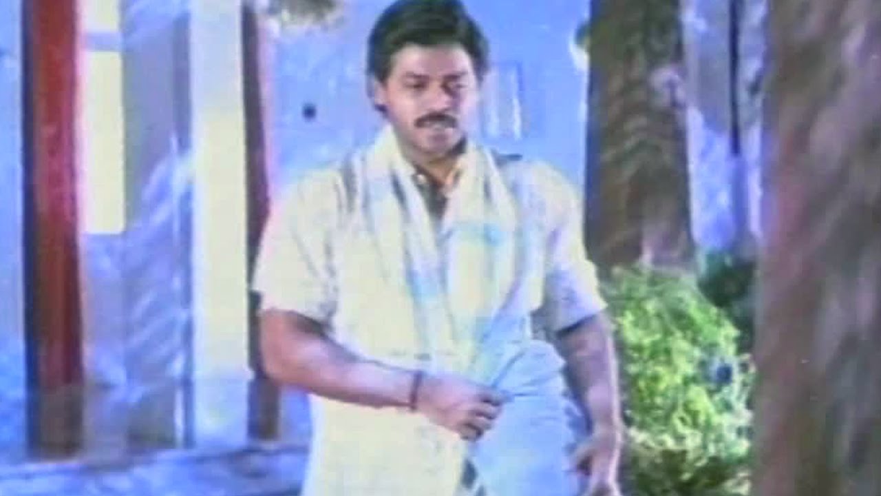 పావురానికి పంజరానికి! పావురానికి పంజరానికి!