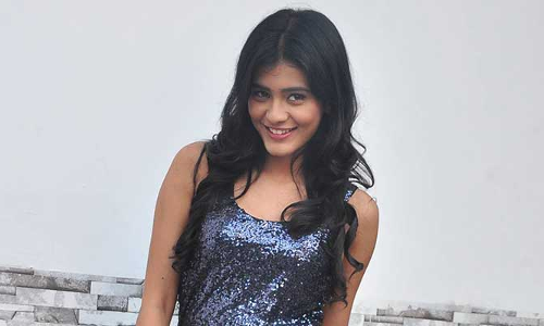 బిగ్ బాస్ హౌస్ లోకి టాలీవుడ్ హీరోయిన్ ఎంట్రీ..