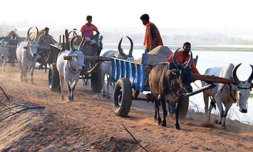 నదుల పక్కన ఉన్న గ్రామాల్లో ఉచిత ఇసుక..ఎడ్ల బండితోనే అనుమతి! నదుల పక్కన ఉన్న గ్రామాల్లో ఉచిత ఇసుక..ఎడ్ల బండితోనే అనుమతి!