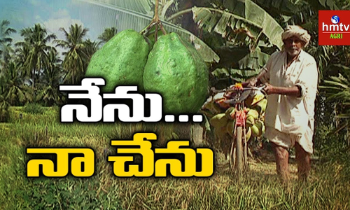 Farmer Rosaiah Farmer Rosaiah