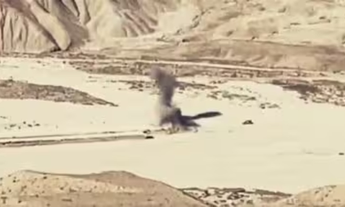 Pakistan: పాక్కు చావు దెబ్బ..10మంది సైనికులు ఖతం.. తిక్క కుదిరిందా తమ్ముడు! Pakistan: పాక్కు చావు దెబ్బ..10మంది సైనికులు ఖతం.. తిక్క కుదిరిందా తమ్ముడు!