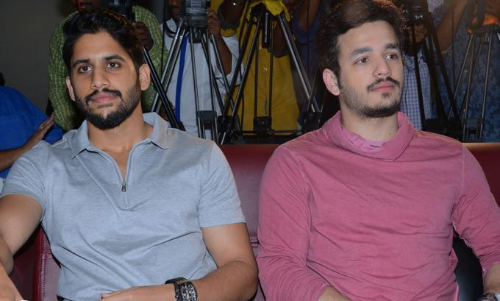 మెగా క్యాంప్ లో చేరిన అక్కినేని బ్రదర్స్