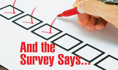 సర్వేలమ్మ సర్వేలు, సర్వం తెలిపే సర్వేలు