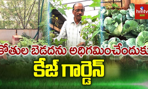 Cage Garden Cage Garden