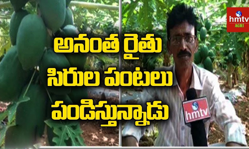 Farmer Srinivasulu Farmer Srinivasulu