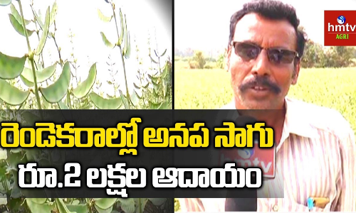 mahesh reddy mahesh reddy