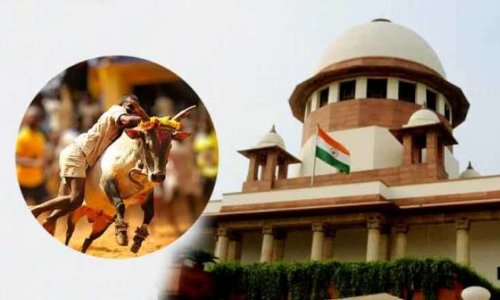 జల్లికట్టు... ఆంక్షలు విధించినా ఆగని ఆచారం