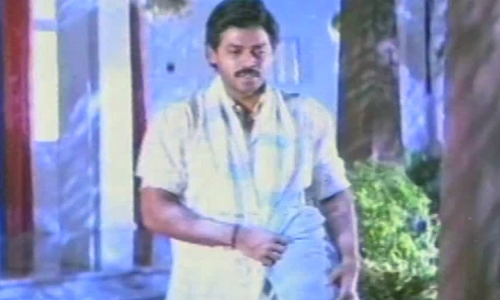 పావురానికి పంజరానికి! పావురానికి పంజరానికి!