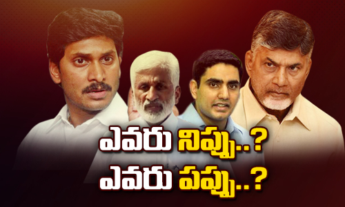 ఎవరు నిప్పు..?ఎవరు పప్పు..?