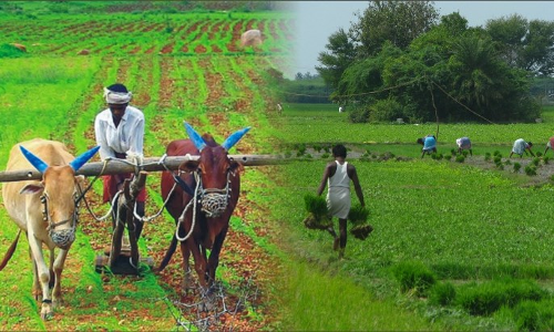 సర్కార్ బీమా... అన్నదాతకు ధీమా... రైతుబీమా లక్ష్యాలివి!! సర్కార్ బీమా... అన్నదాతకు ధీమా... రైతుబీమా లక్ష్యాలివి!!