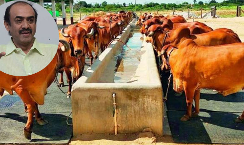 పాల వ్యాపారంలోకి నిర్మాత.. లీటర్ పాల ధర చూస్తే షాకే..