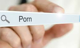 పార్ల‌మెంట్ లో పోర్న్ సైట్లని చూడ‌నివ్వండి..మొర‌పెట్టుకున్న ఎంపీలు