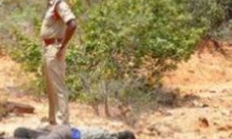 చెల్లి పెళ్లైన రెండురోజులకే బావను చంపేశాడు