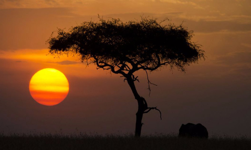 చీకటిఖండం అని ఎందుకంటారో! చీకటిఖండం అని ఎందుకంటారో!