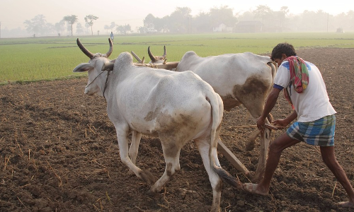అన్నదాతకు రూపాయికి రూపాయిన్నర మద్దతు