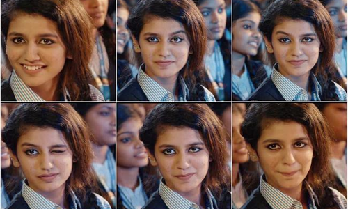 ప్రియా ప్రకాశ్‌కు షాక్‌.. పోలీస్‌ కేసు నమోదు