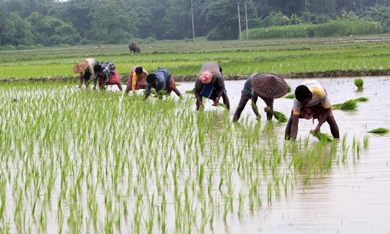 ఎకరానికి 4 వేల పంట పెట్టుబడి చెక్కుల పంపిణీ వాయిదా