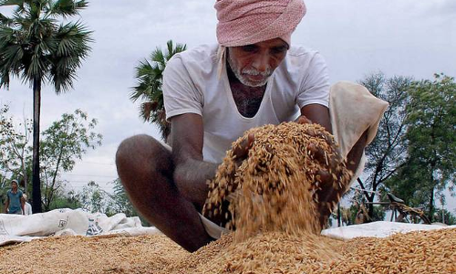 తెలంగాణను కుదిపేసిన గాలి వాన బీభత్సం