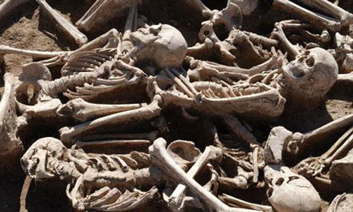 బ్యాగ్‌లో 50 మానవ అస్థిపంజరాల అక్రమ రవాణా