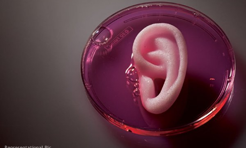 పాత చెవిని తీసేసి కొత్త చెవిని అమ‌ర్చుకోవ‌చ్చు