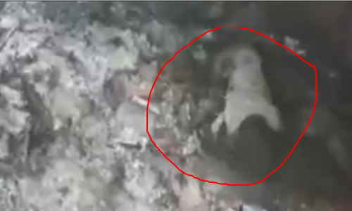 పెద్దాపురం విషాదం..బాణాసంచా బాలుడు మృతి