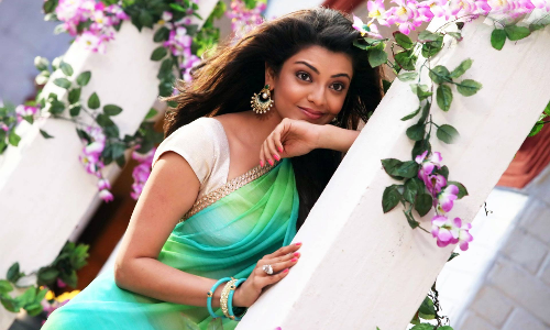 రవితేజతో మరోసారి? రవితేజతో మరోసారి?