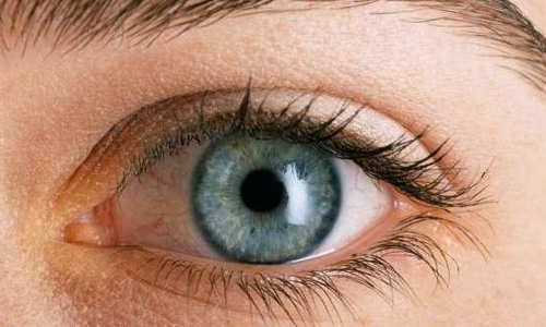 కెమెరా కన్ను