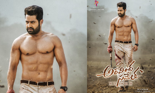 ‘అరవింద సమేత వీర రాఘవ’లో మెగాస్టార్..?