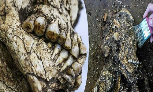 బయటపడిన 6వేల ఏళ్ల క్రితం నాటి అస్థిపంజరం