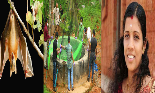 నిపా వైరస్‌ సంక్రమించేది ఇలాగే.. నిర్లక్ష్యం వహిస్తే..