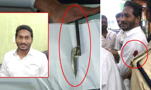 జగన్ పై దాడి.. అసలేం జరిగిందంటే..