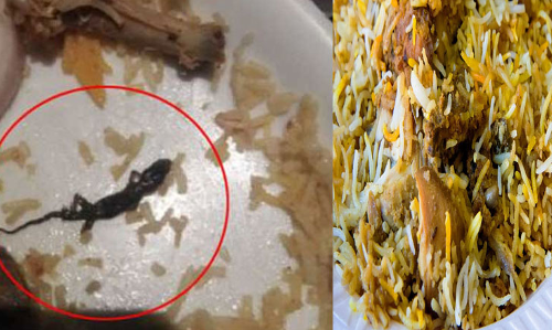 బిర్యానీలో బల్లి.. ఆసుపత్రిపాలైన కస్టమర్లు..