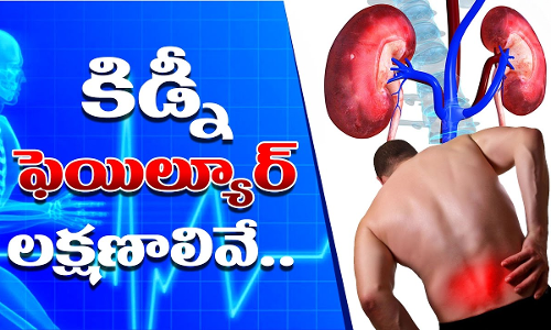 కిడ్నీ సమస్యని గుర్తించడం ఎలా కిడ్నీ సమస్యని గుర్తించడం ఎలా