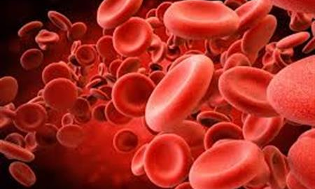 రక్తాన్ని ఎన్ని నెలలు! రక్తాన్ని ఎన్ని నెలలు!