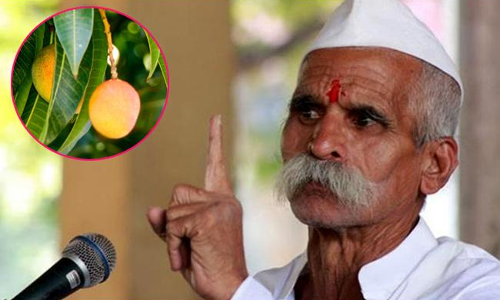 మామిడి పండ్లు తింటే కొడుకులు పుడతారట! మామిడి పండ్లు తింటే కొడుకులు పుడతారట!