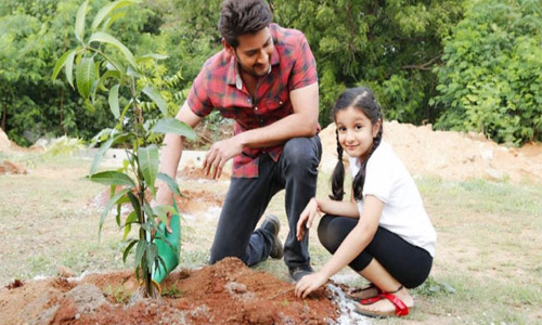 మంత్రి కేటీఆర్ ఛాలెంజ్ కు స్పందించిన హీరో మహేష్