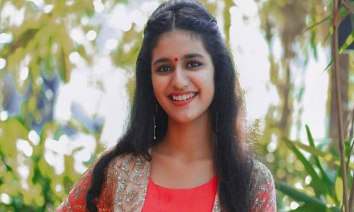భారీ ఆఫర్ కొట్టేసిన ప్రియా ప్రకాష్ వారియర్..