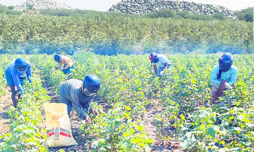 వారెవ్వా... కొత్తగా ఉంది... కంటిన్యూ చేస్తే పోలా!!