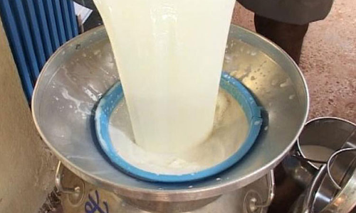 ప్రపంచంలో అతి పెద్ద పాల ఉత్పత్తిదారు