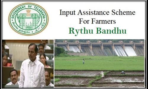 రైతుబంధు... ఎంతమందికి ఆపద్బంధు రైతుబంధు... ఎంతమందికి ఆపద్బంధు