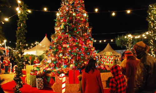 బెలూన్లు, గ్రీటింగ్లు,నక్షత్రాలతో క్రిస్మస్ ట్రీని ఎందుకు అలంకరిస్తారు? బెలూన్లు, గ్రీటింగ్లు,నక్షత్రాలతో క్రిస్మస్ ట్రీని ఎందుకు అలంకరిస్తారు?