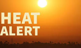 జాగ్రత్తగా ఉండండి.. లేకుంటే అసలుకే ముప్పు! జాగ్రత్తగా ఉండండి.. లేకుంటే అసలుకే ముప్పు!