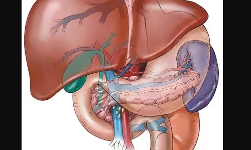 అతి పెద్ద గ్రంధికి తప్పని మందు బరువు అతి పెద్ద గ్రంధికి తప్పని మందు బరువు